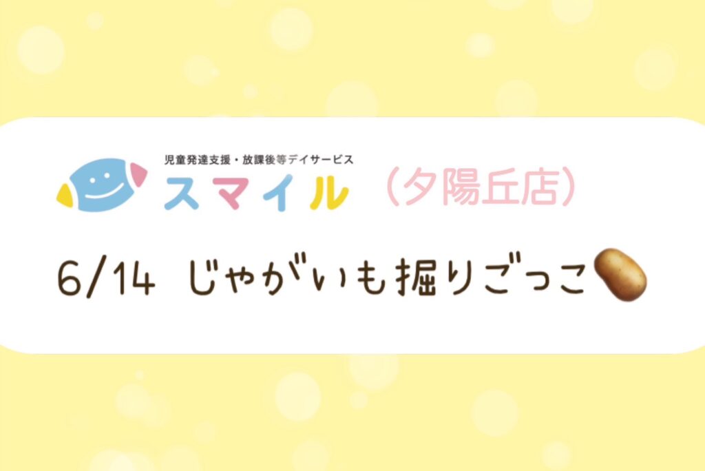 【夕陽丘店】じゃがいも堀りごっこ🥔
